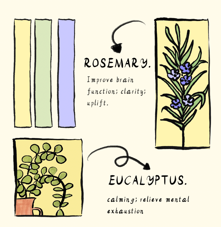 Clarity Essential Oil Candle | 100% Natural | Handmade | 40hrs Burn Time